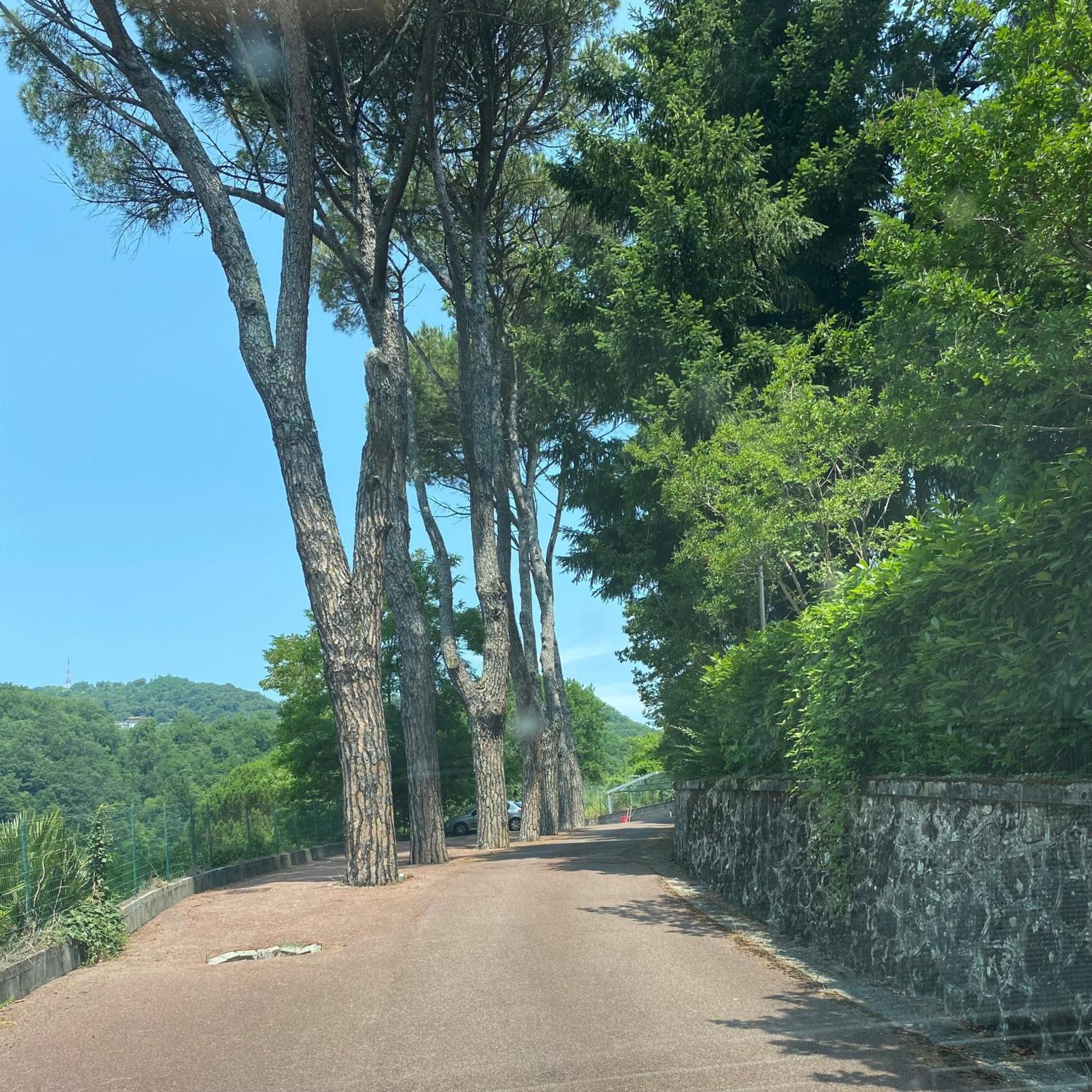 Le Foglie Di Lubo Διαμέρισμα Aulla Εξωτερικό φωτογραφία